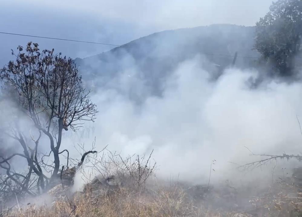 Gazipaşa'da Bahçe Yangını Korkuttu 3