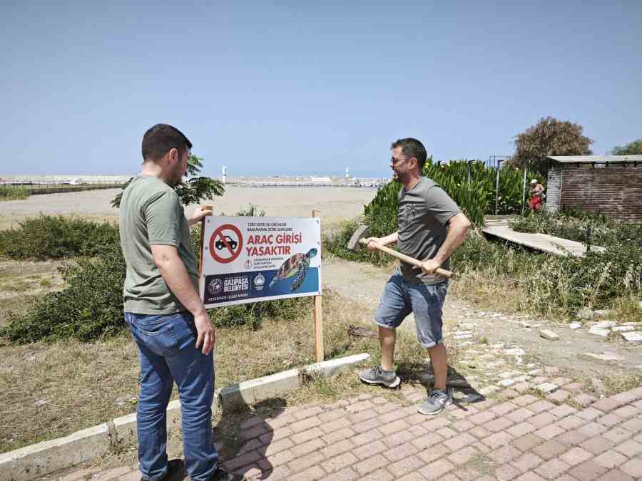 Gazipaşa Sahillerinde Carettalar İçin Harekete Geçildi (2)