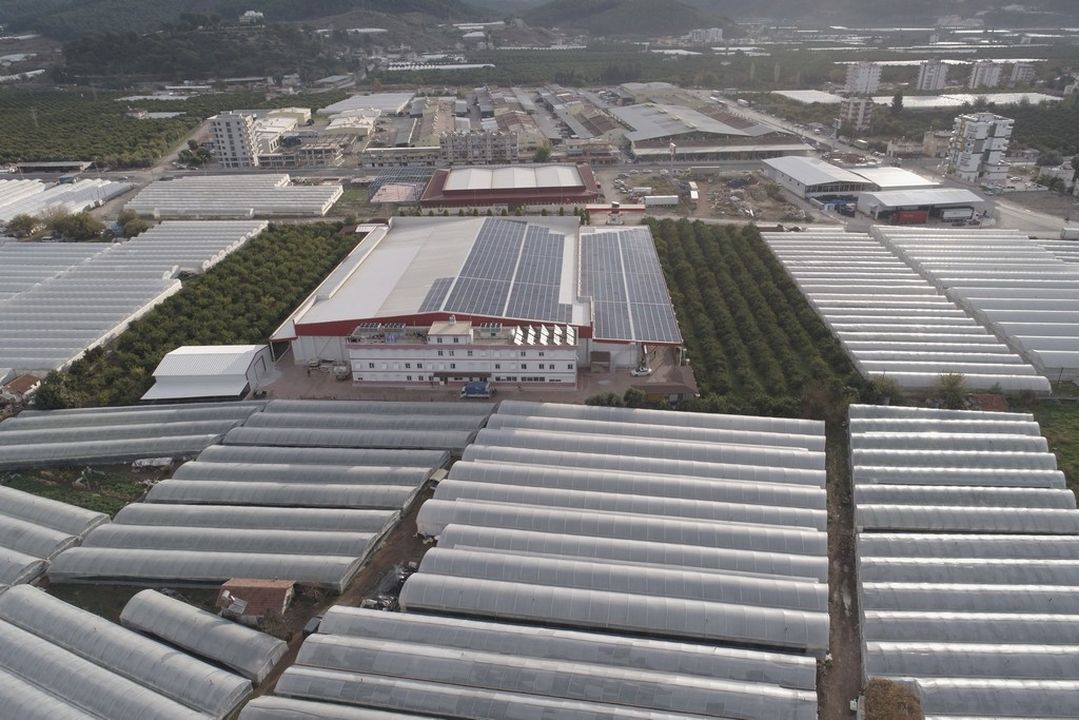 Kumluca Altınyaka'da Belediye Ges Bitişiğindeki 10 Dekarlık Araziyi Satışa Çıkardı 3