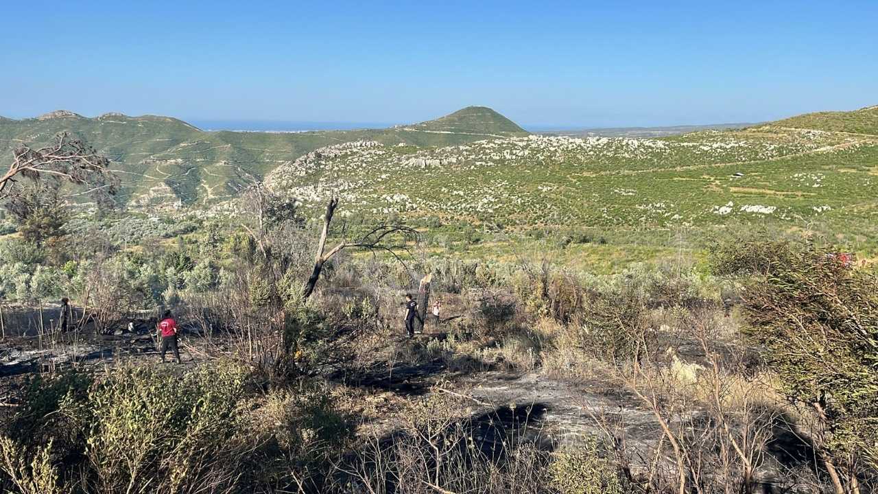 Manavgat’ta Orman Yangını Erken Müdahaleyle Söndürüldü 3