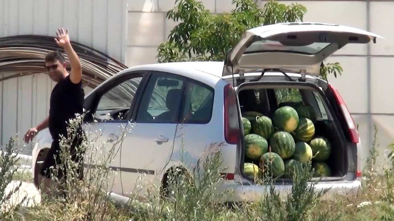 Serikli Çiftçi 3 Lira Veren Tüccara Kızdı! 100 Ton Karpuzu Bedava Dağıttı 2