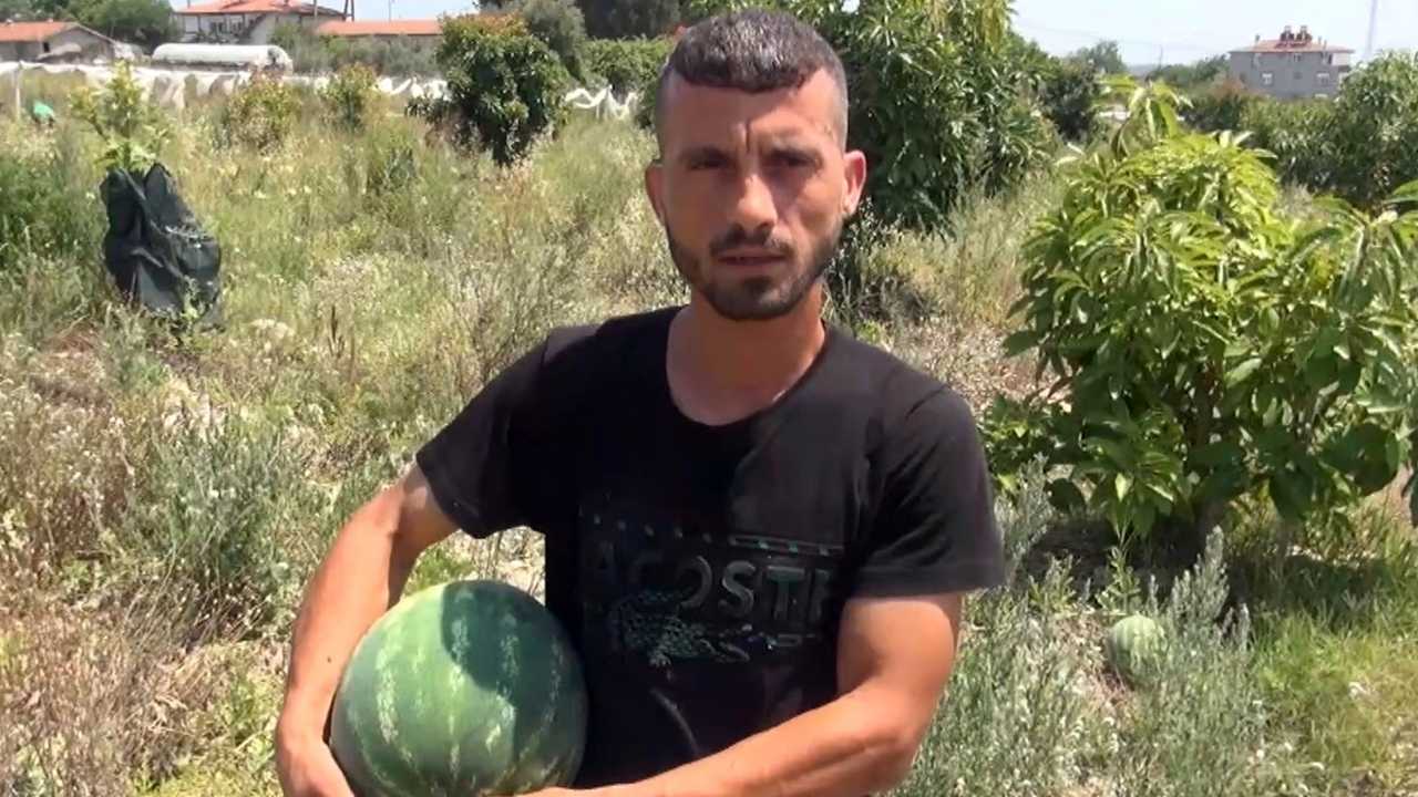 Serikli Çiftçi 3 Lira Veren Tüccara Kızdı! 100 Ton Karpuzu Bedava Dağıttı 4