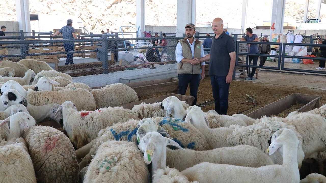 Tzob Başkanı İl İl Kurbanlık Fiyatlarını Açıkladı! 3