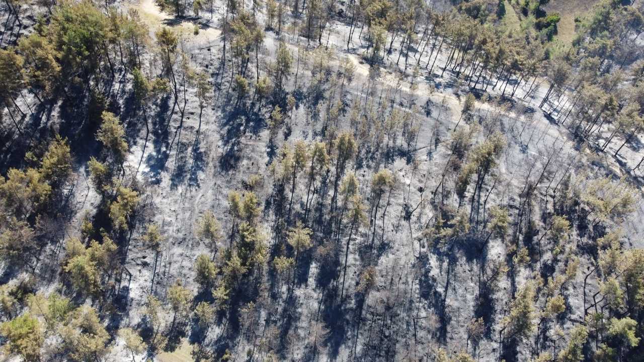 Adana’da 14 Saatte 250 Hektar Alan Kül Oldu2