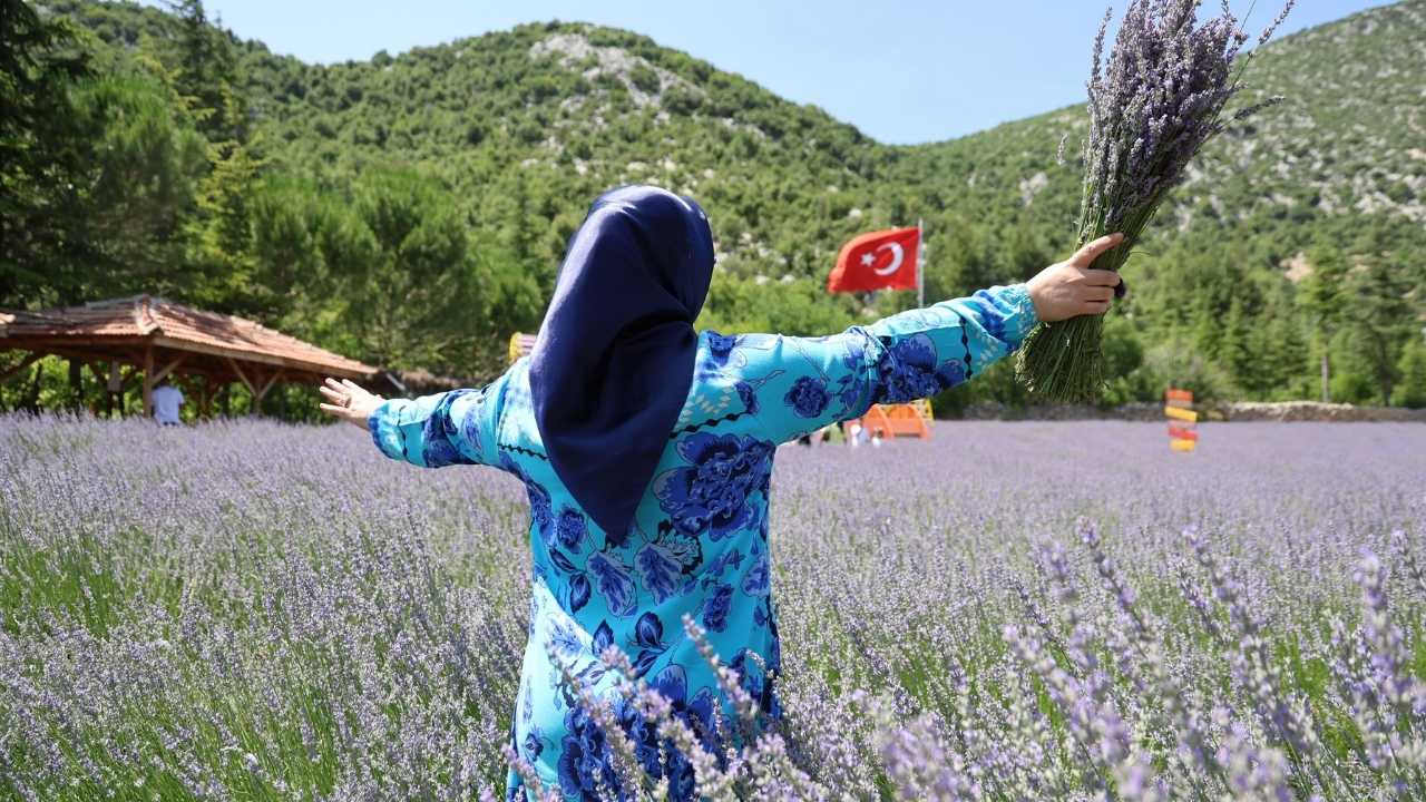 Adana’da Atıl Araziler Lavanta Turizmiyle Ekonomiye Kazandırıldı 2
