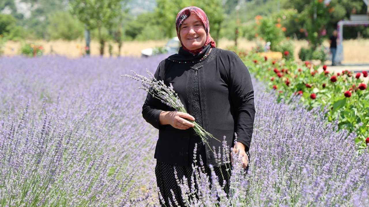 Adana’da Atıl Araziler Lavanta Turizmiyle Ekonomiye Kazandırıldı 3