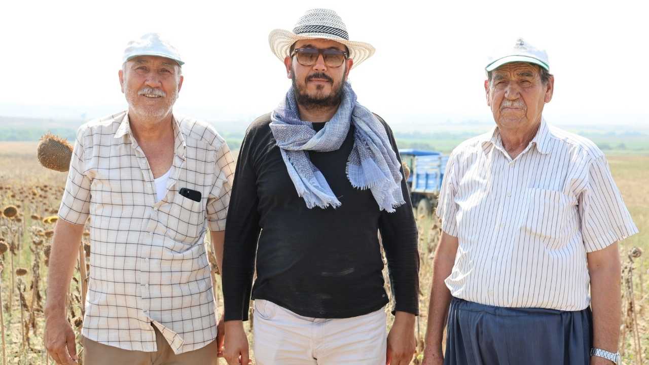Adana’da Ayçiçeği Tarlalarında Hasat 20 Gün Erken Başladı 3