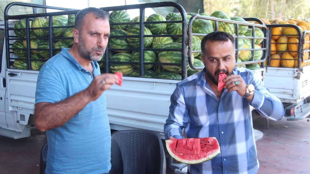 Adana’da Karpuzun Kilosu Tarlada 1 Tl Markette 14 Tl4