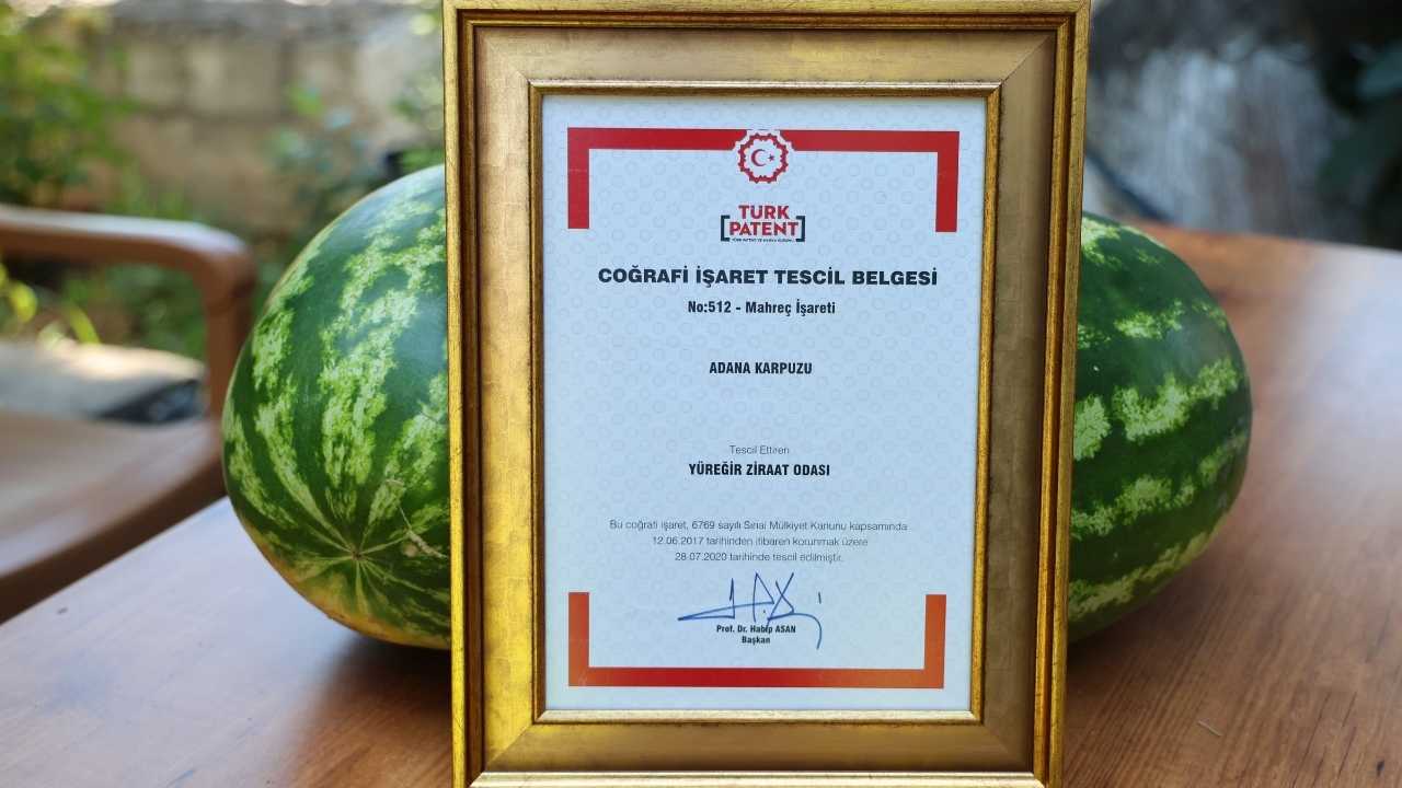 Adana’dan Tescilli Yanıt Geldi