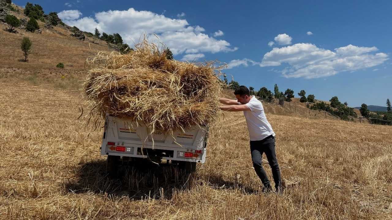 Adana’nın Dağ Köylerinde Yüzyıllık Orak Ritüeli Yaşıyor 2
