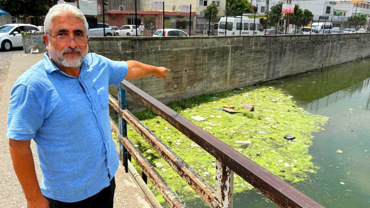 Adana’nın Venedik Hayali Çöplerle Boğuluyor 3