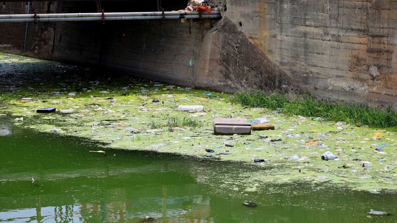 Adana’nın Venedik Hayali Çöplerle Boğuluyor 4