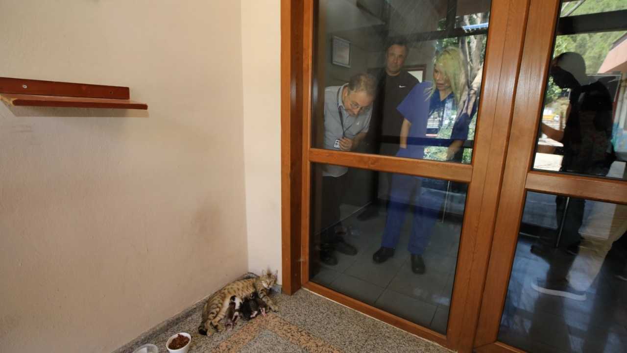 Akdeniz Üniversitesi’nden Bağımlılıkla Mücadeleye Tam Destek 3