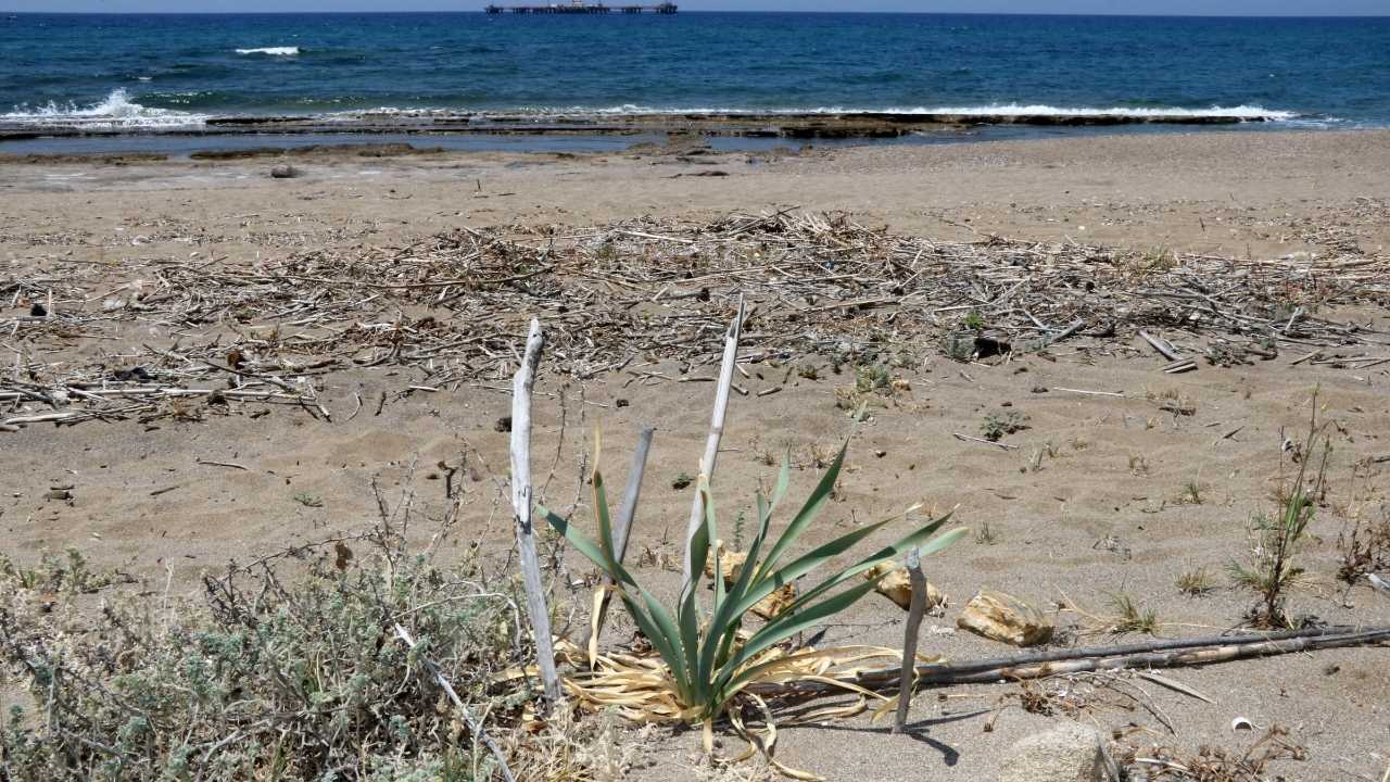 Alanya’da O Çiçeği Koparmanın Cezası 387 Bin Tl3
