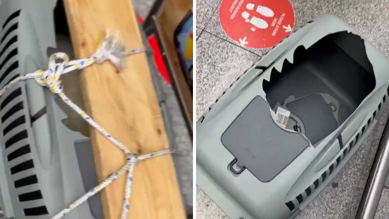 Antalya–İzmir Uçuşunda Şok Olay! Köpeğinin Kafesini Kırık Verdiler 11