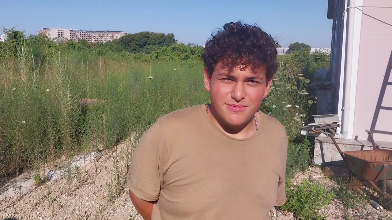 Antalya Manavgat'ta Aslan Kafesinden Kaçtı! 1 Kişiyi Ağır Yaraladı, Aranıyor! 5