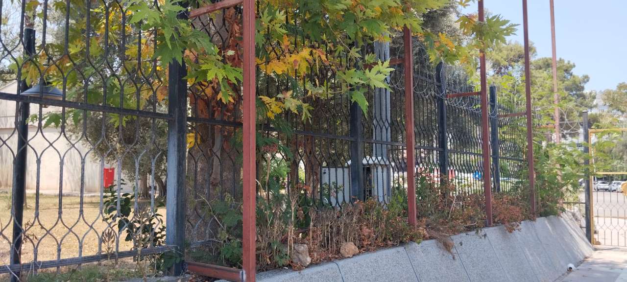 Antalya Müzesine Girmek De Bakmak Da Yasak! (3)