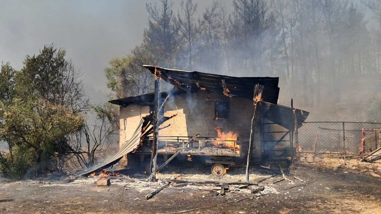 Antalya Serik'teki Orman Yangınında Ev Ve Ahır Alev Alev Yandı 4