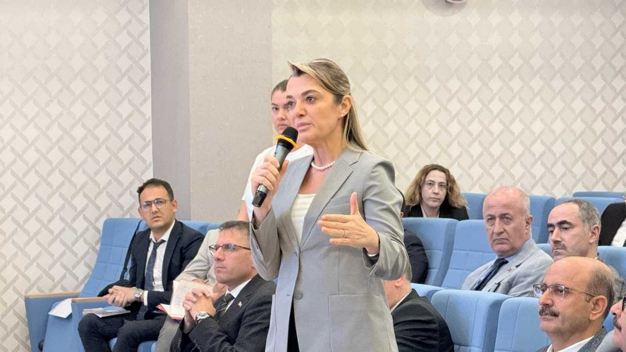 Antalya Sokaktaki Canlarına Yaşam Alanı Arıyor 3