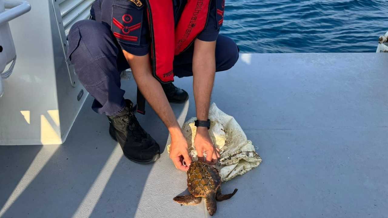 Antalya’da Deniz Kirliliği Nesillerini Tehdit Ediyor (1)-2