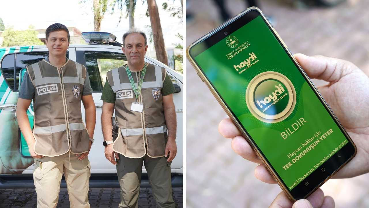 Antalya'da Hayvana Çarpıp Kaçma Cezası 10 Bin 385 Tl 4