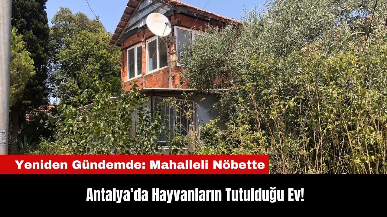 Antalya’da Hayvanların Tutulduğu Ev Yeniden Gündemde Mahalleli Nöbette (1)