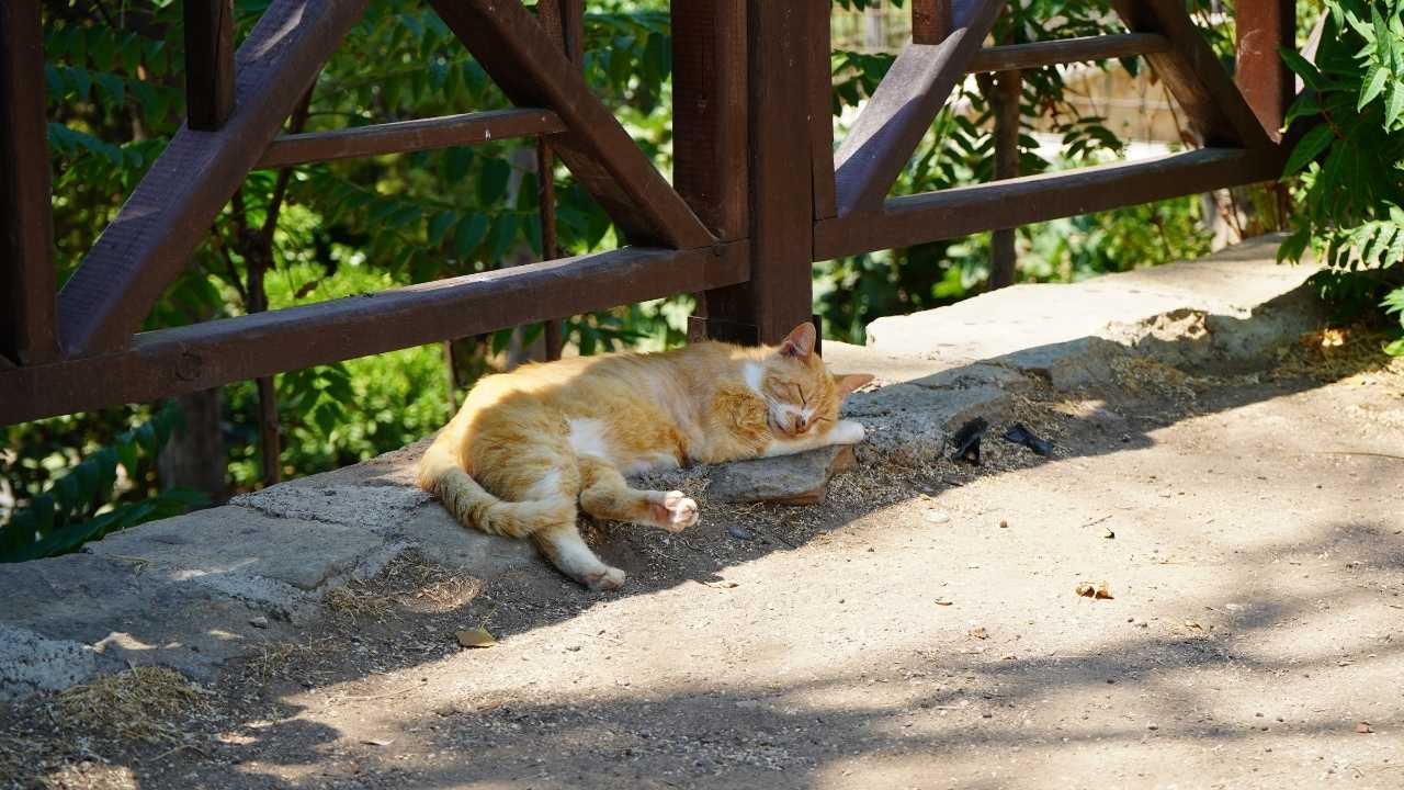 Antalya’da Nem Sıcağı Tetikliyor Vatandaşlar Çare Arıyor 4