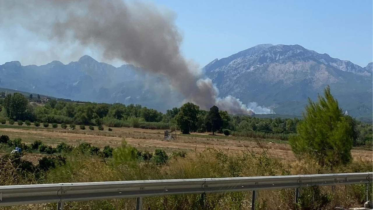 Antalya'da Serik'te Alevler Yükseldi (3)