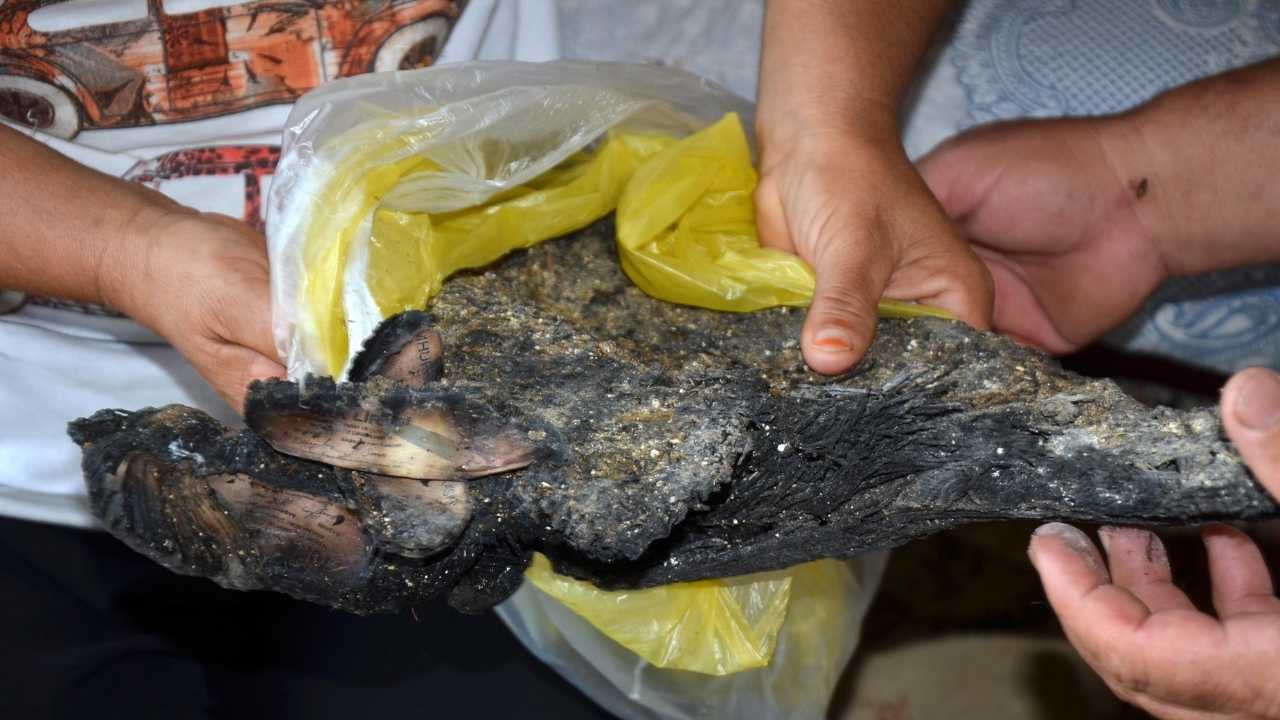 Antalya'da Yangın Bilançosu! Serik'te Ailenin Evi, Ahırı Ve Tedavi Parası Kül Oldu 4