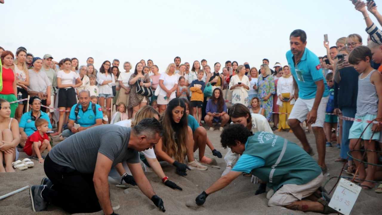 Caretta Yavruları Çıralı’da Denize Kavuştu (1)