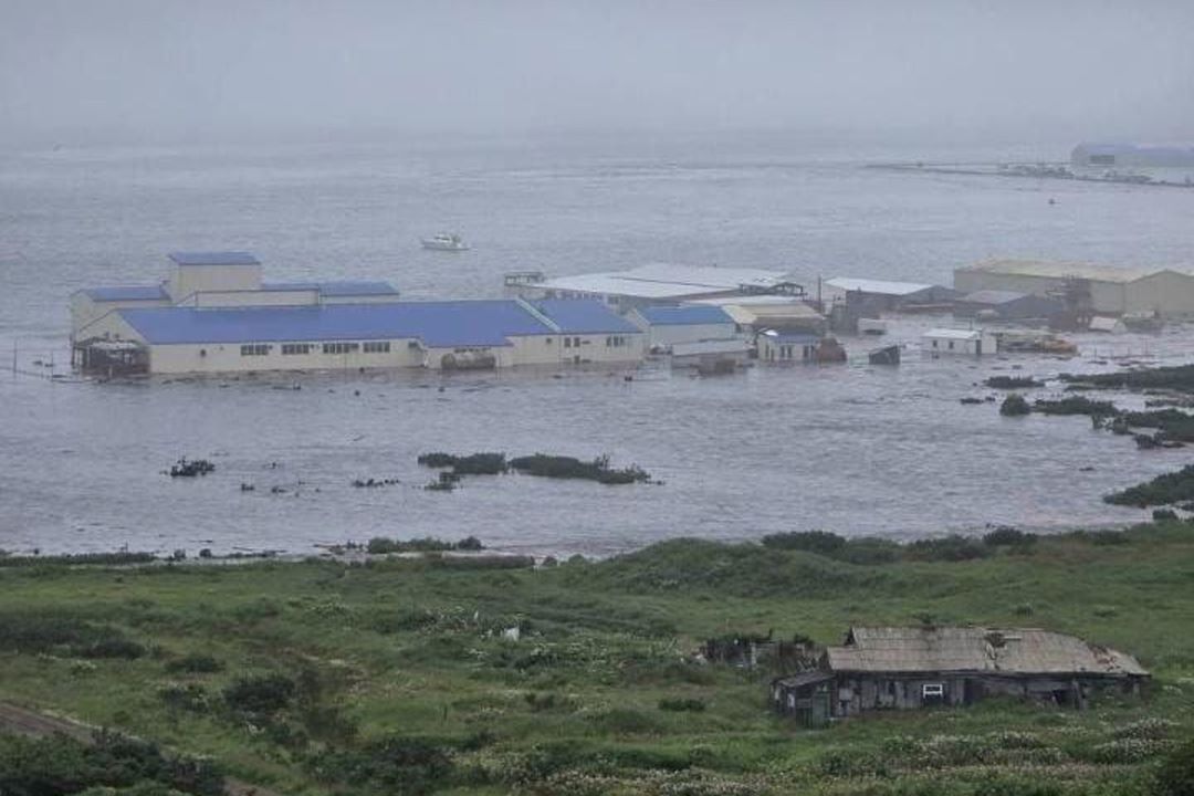 Tsunami 1
