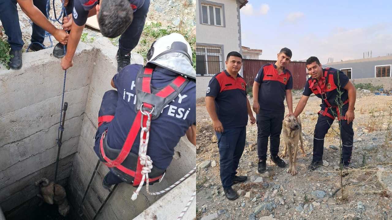 Hatay’da Kuyuya Düşen Köpeğe İtfaiyeden Şefkat Eli 2