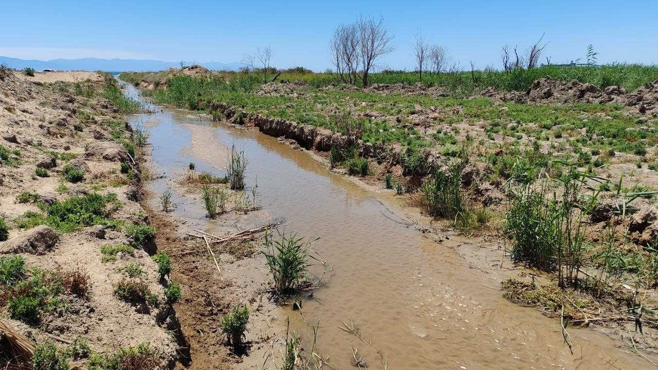 Hatay’da Zehirli Su Tehlikesi2
