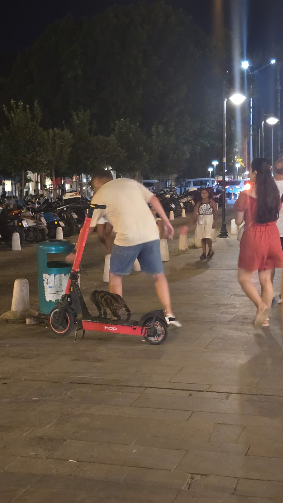 Kaleiçi’nde Scooter’a Kurulan Kedi Görenleri Hayrete Düşürdü12 (1)