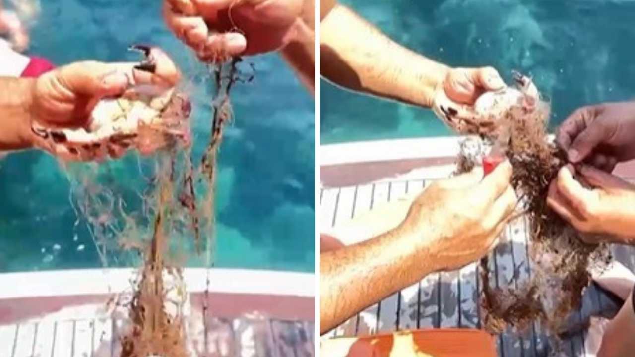  Alanya'da Hayalet Ağ Tehlikesi! Üç Yengeç Kurtarıldı