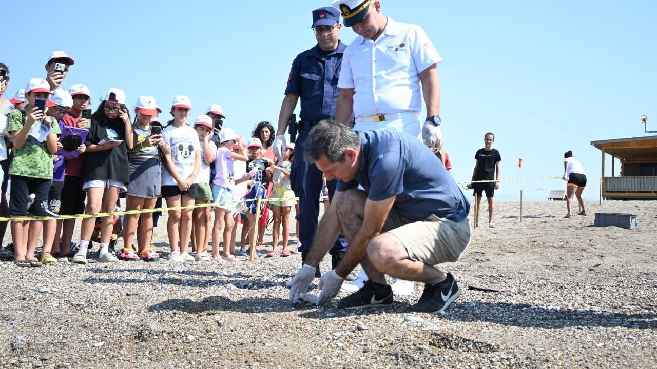 Manavgat’ta Minik Caretta Sevgi Dolu Dokunuşla Yaşama Döndü 5