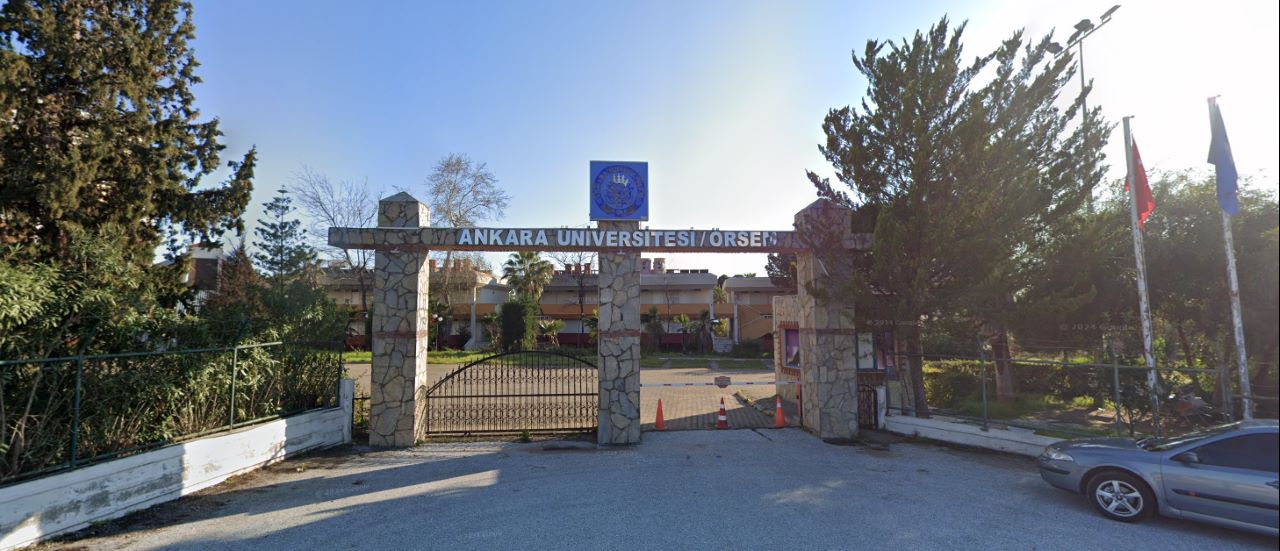 Manavgat'taki Denize Nazır Kupon Arazi Polen'in!