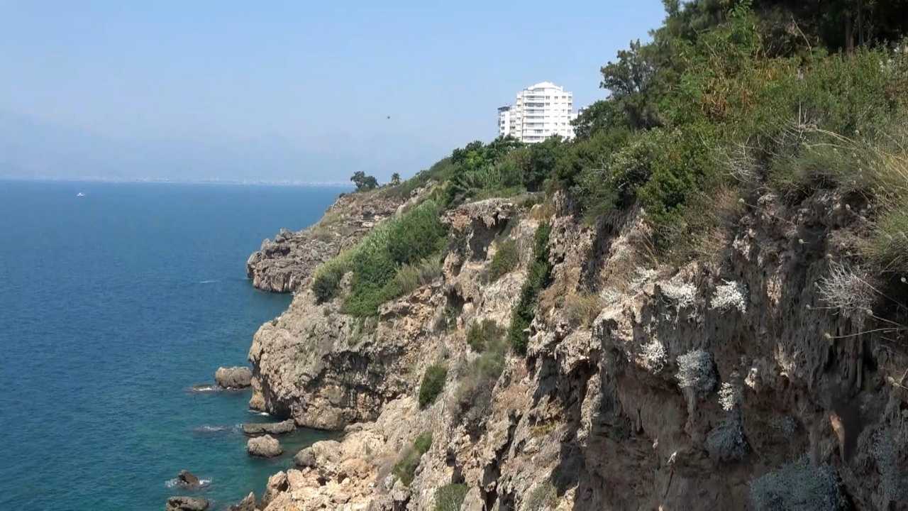 Sadece Antalya'da Yetişiyordu! 'Lara Gelini' Ermenek Yangınlarıyla Yok Olma Sınırında 6