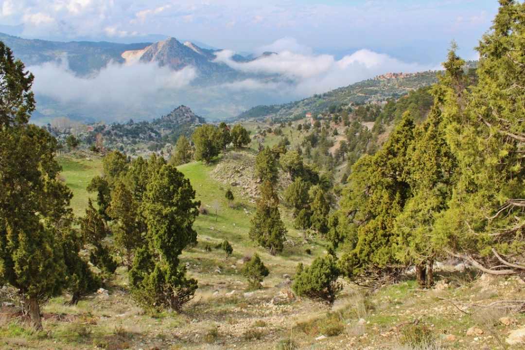 Yarbaşçandır Yaylas1212