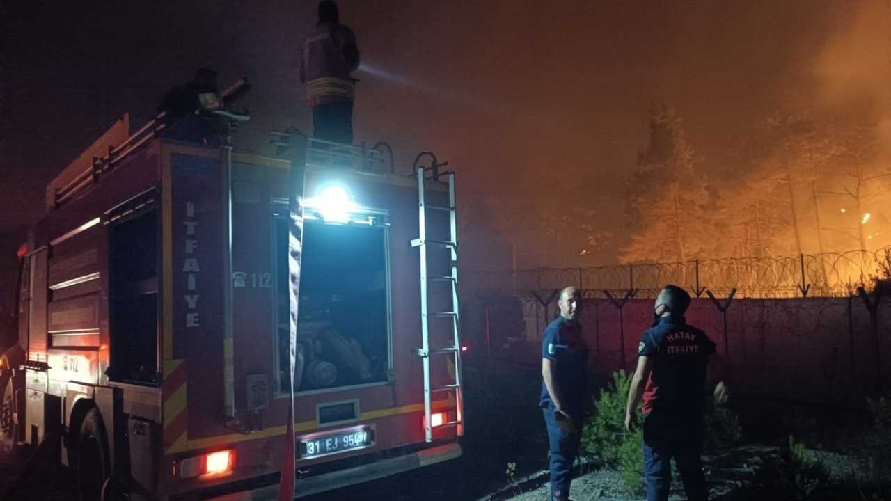 Yayladağı Orman Yangını Tehlikesini Atlattı (2)