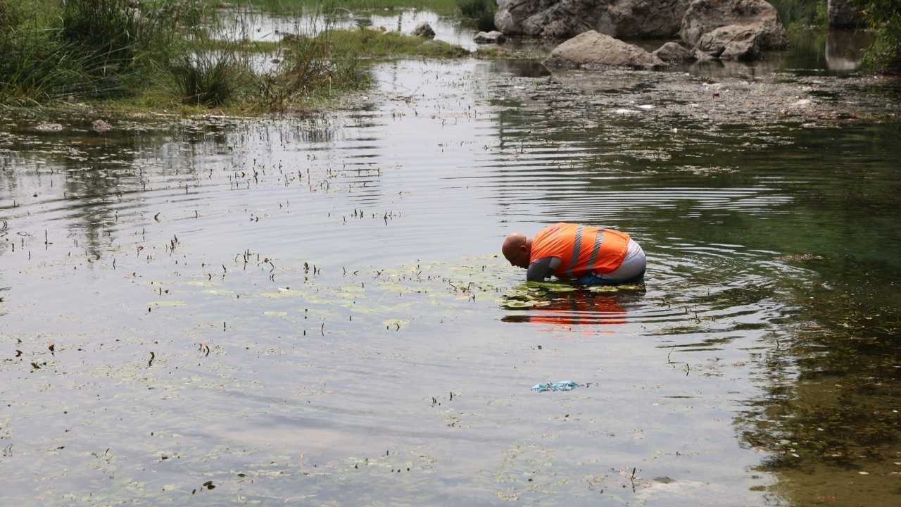 Adana Kozan’daki Göletler Çöp Yığınına Döndü 3