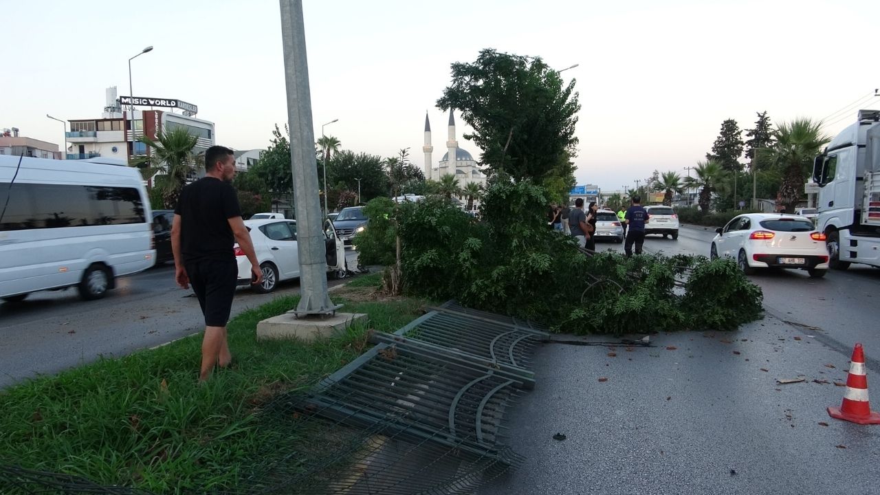 Antalya’da Araçlar Zincirleme Kaza Yaptı, Ağaç Yola Düştü (1)