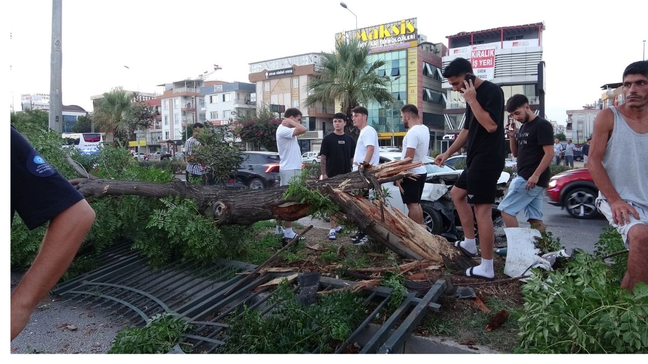 Antalya’da Araçlar Zincirleme Kaza Yaptı, Ağaç Yola Düştü (2)