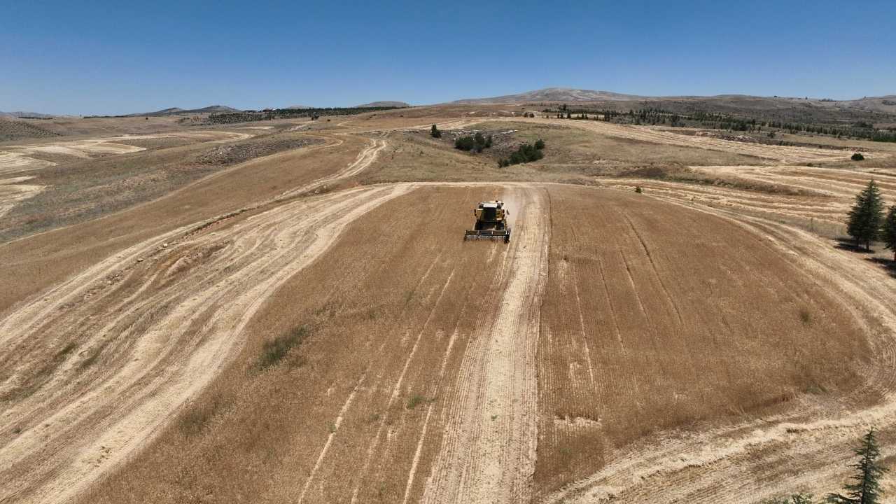 Antalya’da Halk Ekmek Yerli Buğday Dönemine Geçti 2