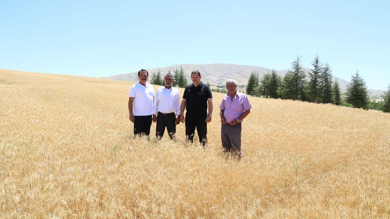 Antalya’da Halk Ekmek Yerli Buğday Dönemine Geçti 3