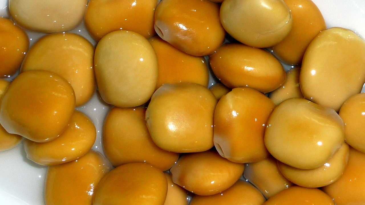 Tirmisin acılığı yaklaşık 10 gün sonra geçer ve tüketilmeye hazır hale gelir.