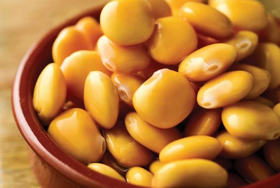 Tirmis tarih boyunca halk hekimliğinde de kullanılmış.