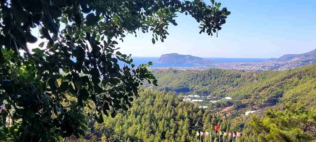 Di̇m Mağarasi (3)