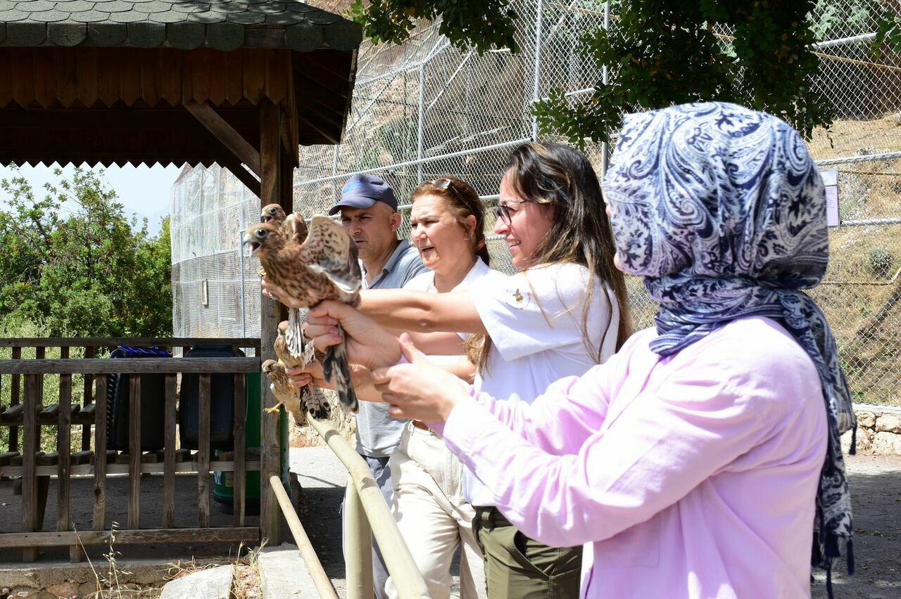 ANTALYA'DA KERKENEZLER DOĞAYA BIRAKILDI 1