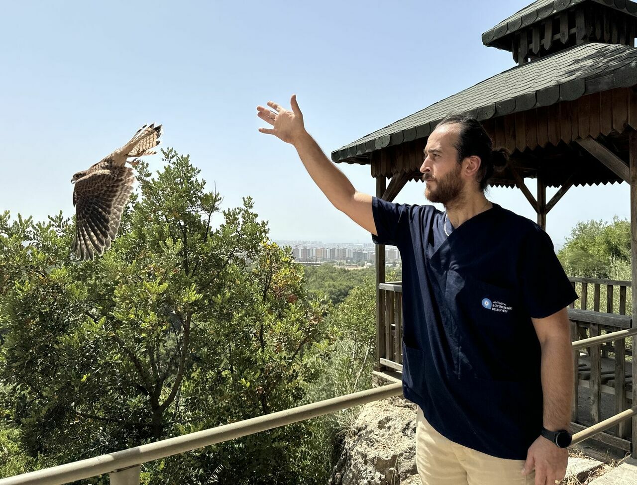 ANTALYA'DA KERKENEZLER DOĞAYA BIRAKILDI 18